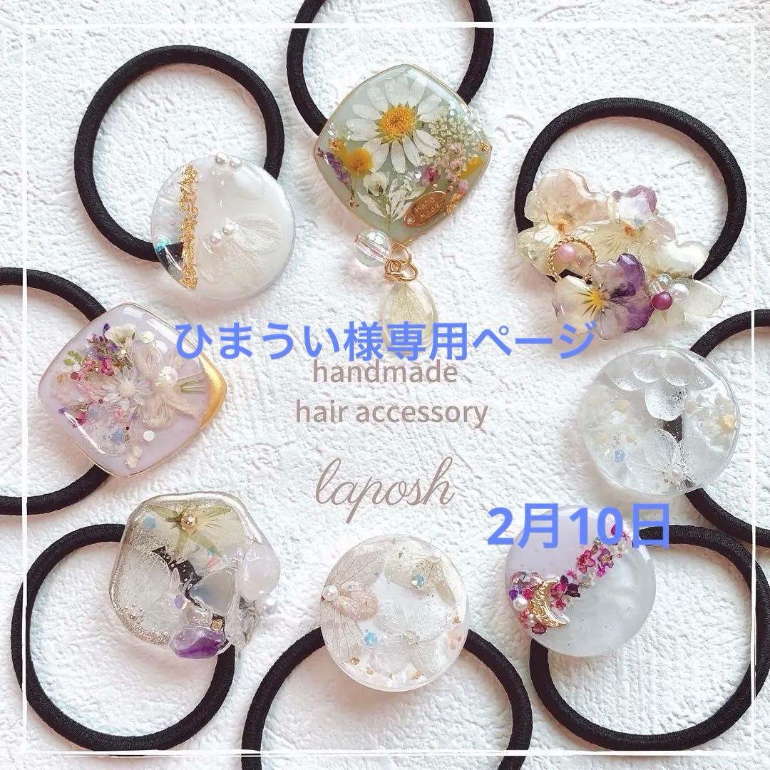 ひまういページ　レジンヘアゴム 6点 ポニーフック2点　クリップ3点