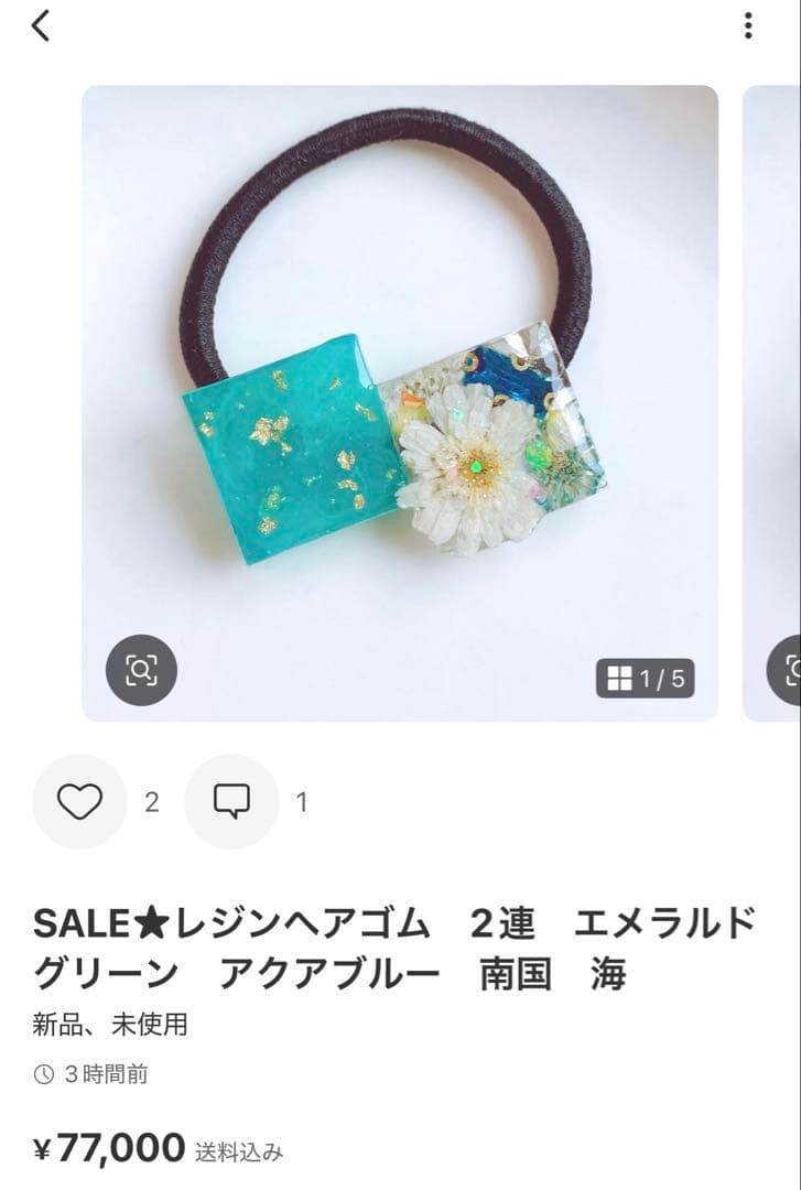 ひまういページ　レジンヘアゴム 6点 ポニーフック2点　クリップ3点