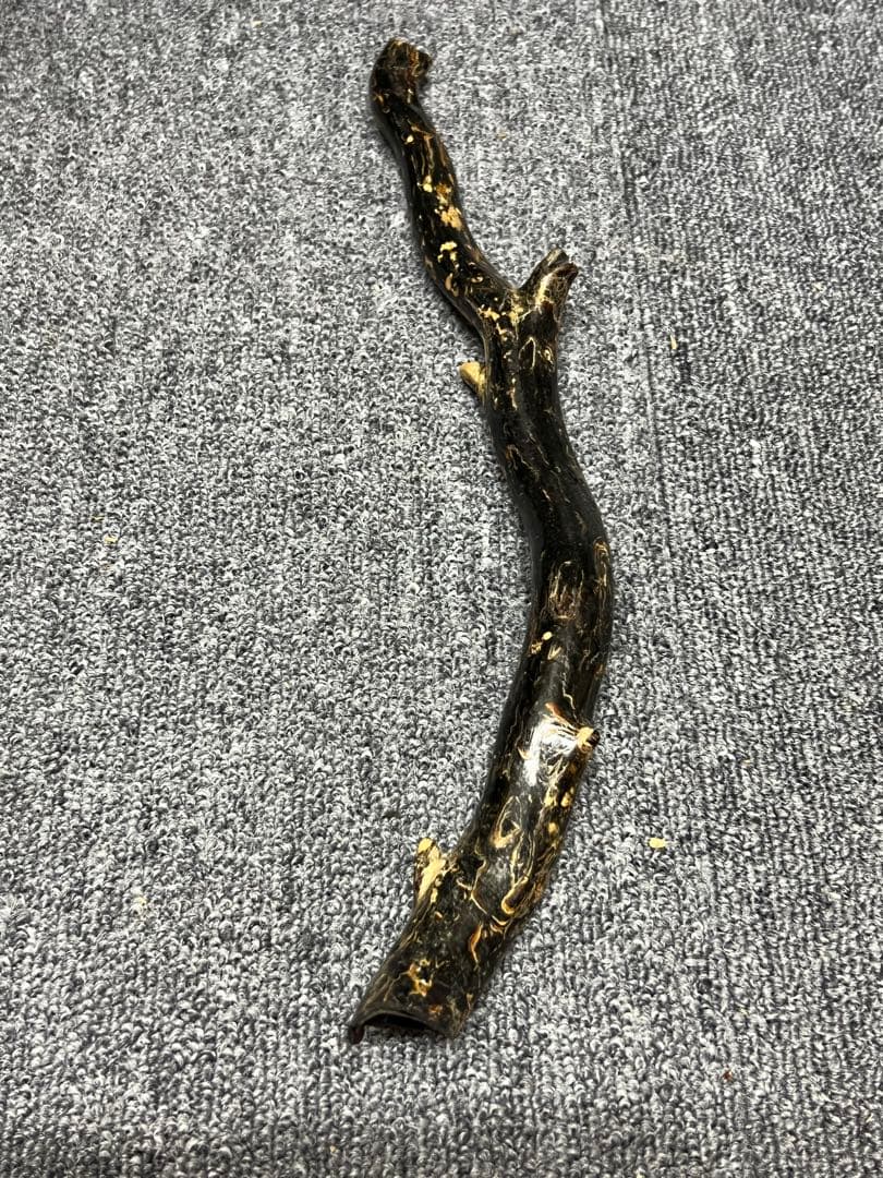 黒珊瑚　深海松　原木　長さ；35センチ H 1-1