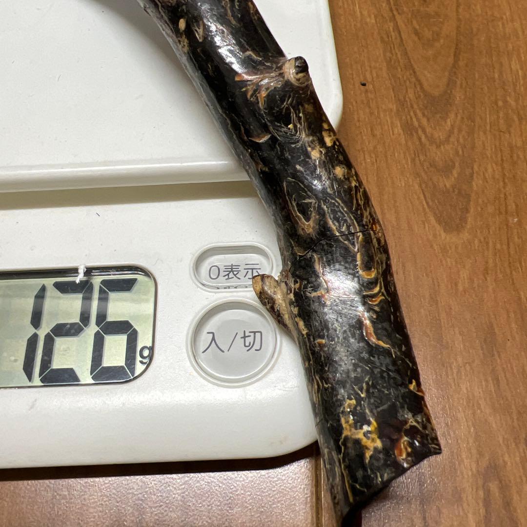 黒珊瑚　深海松　原木　長さ；35センチ H 1-1