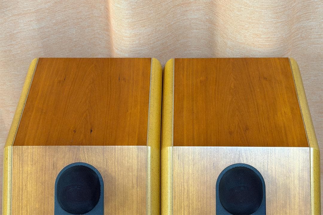 B&W CDM1SE CDM1 Special Edition スピーカー