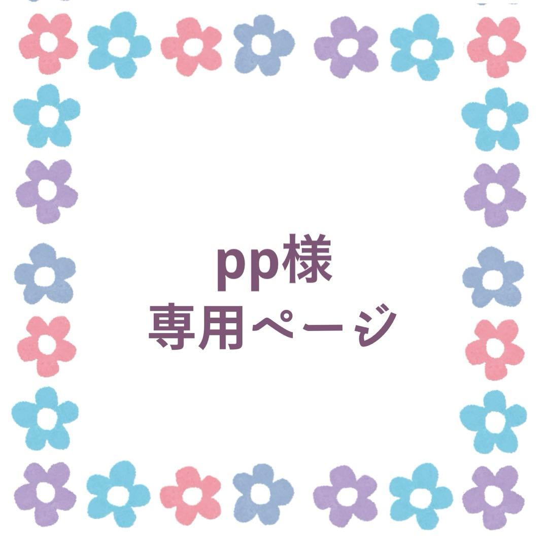 ppページ
