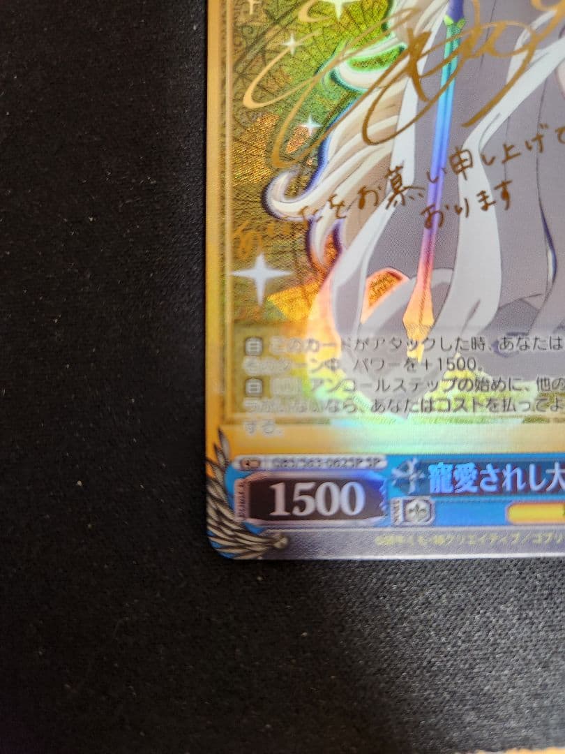 寵愛されし大司教　剣の乙女 sp