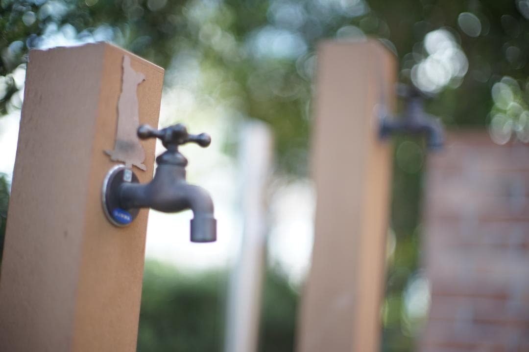 希少　PETRI　C.C　Auto　1.4　55mm　127　Ｅアダプター