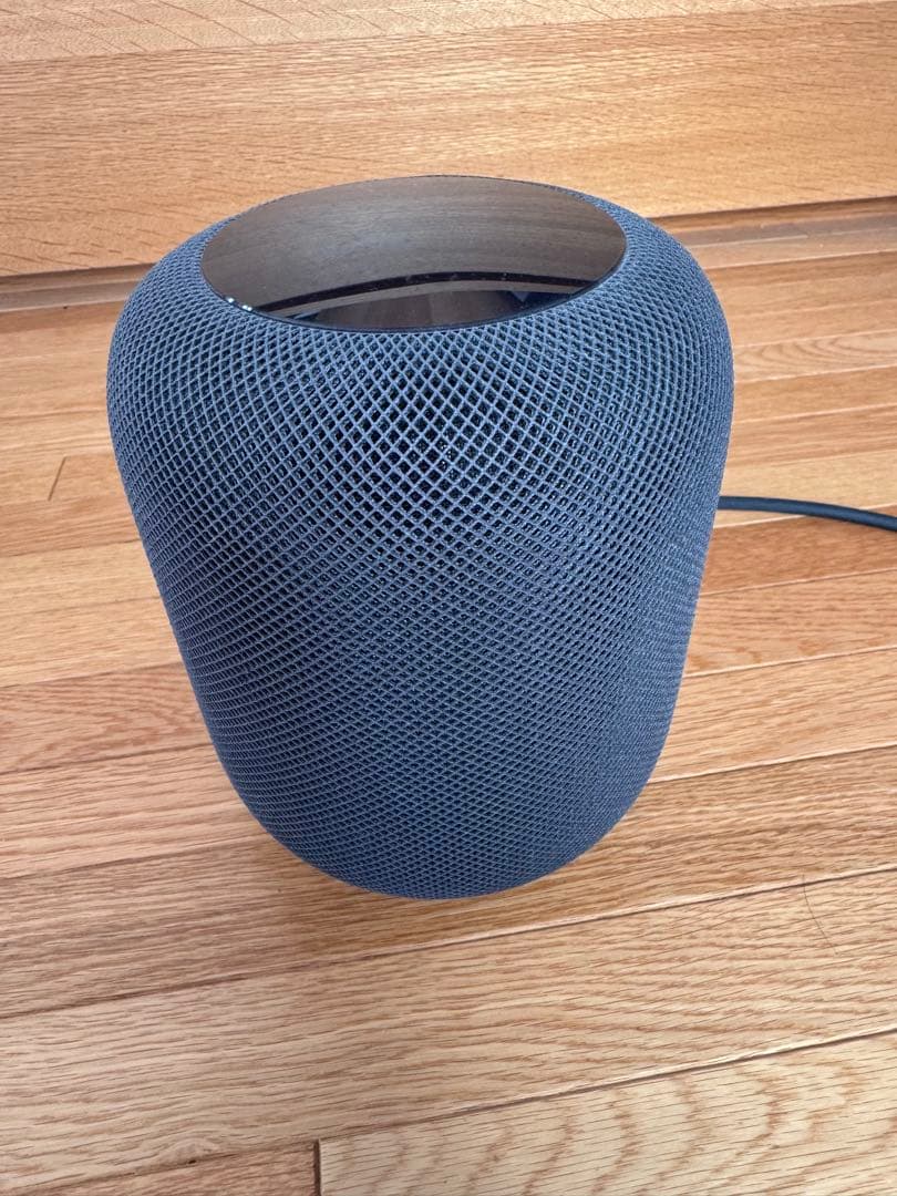 【ジャンク】Apple Pod 第一世代（スペースグレイ）外箱付