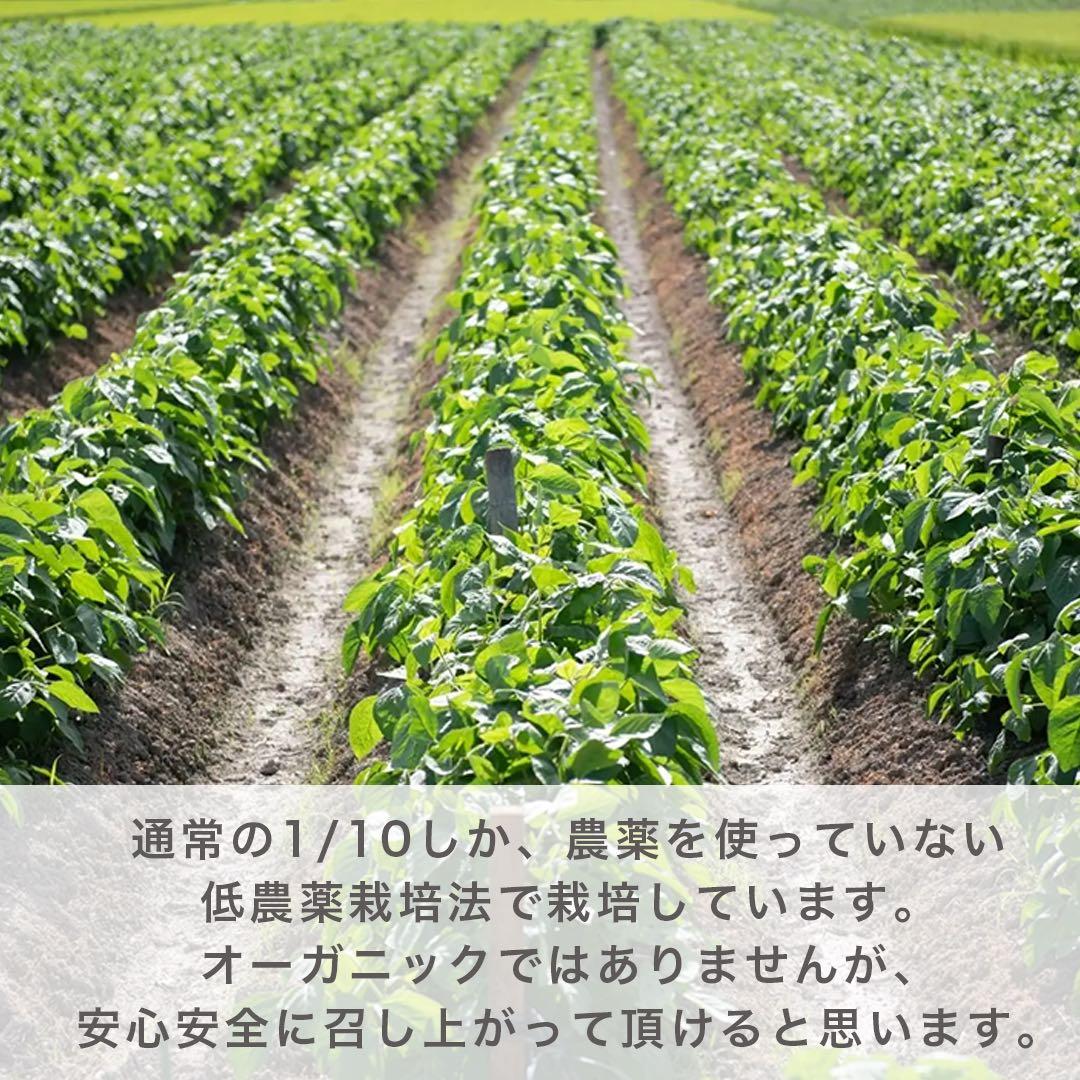 《採れたて》丹波篠山産　黒枝豆　5kg 減農薬栽培 丹波黒枝豆