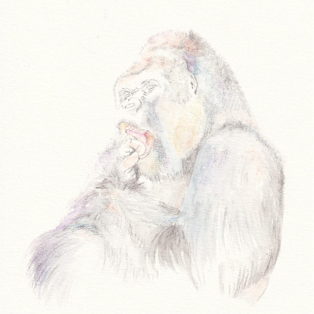 ブロッコリー様 ご依頼作品 インドサイの絵