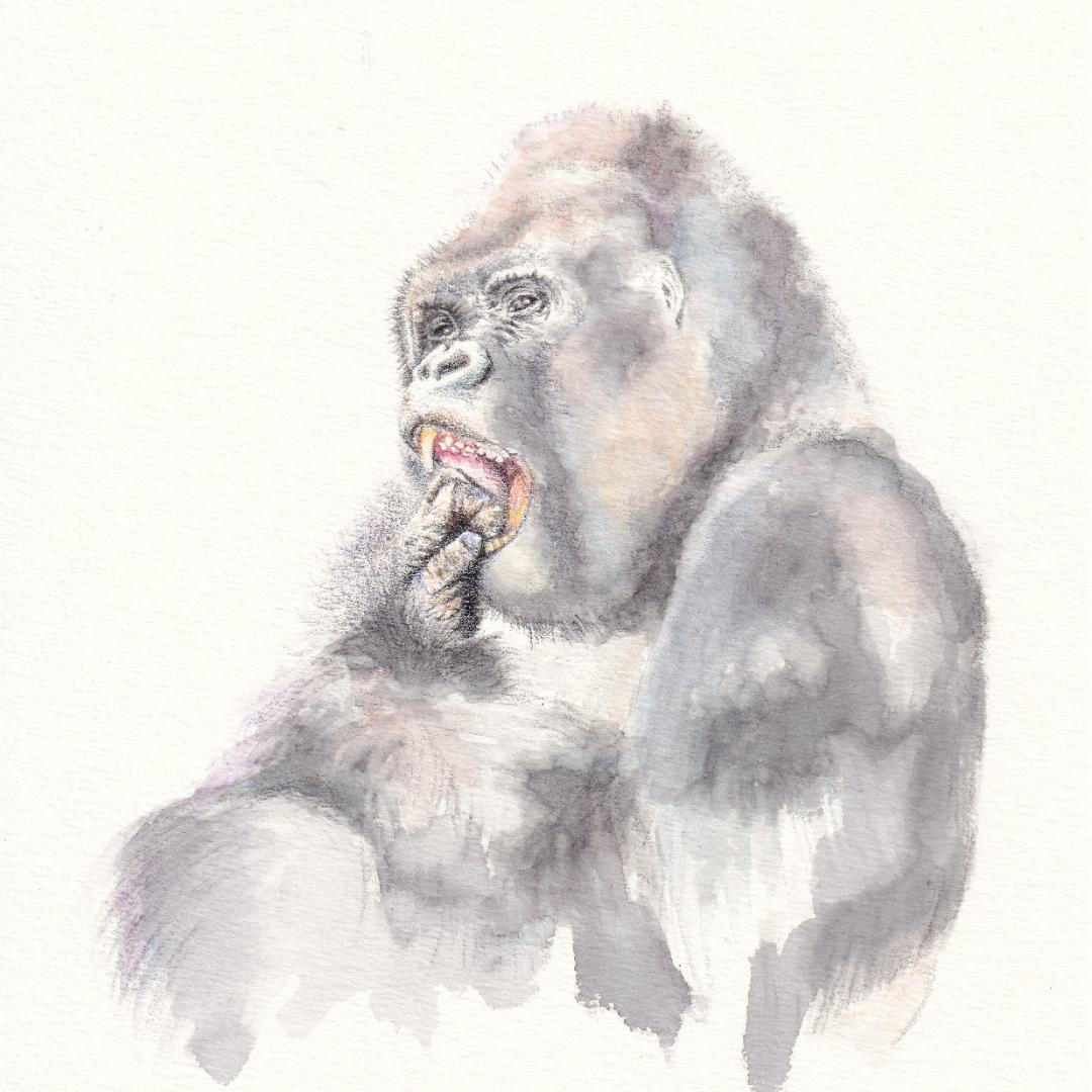 ブロッコリー様 ご依頼作品 インドサイの絵