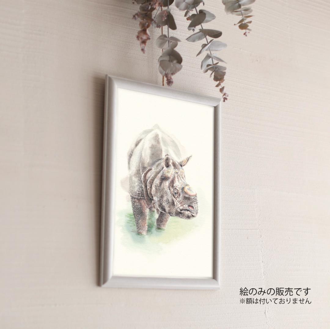 ブロッコリー様 ご依頼作品 インドサイの絵