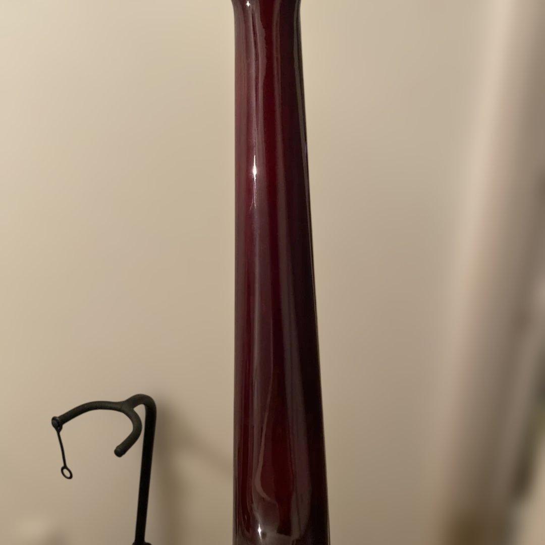 【送料無料】Epiphone アコースティックギター　PRO-1 Plus WR