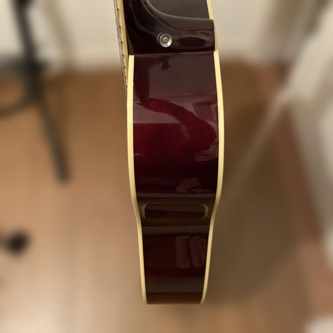 【送料無料】Epiphone アコースティックギター　PRO-1 Plus WR