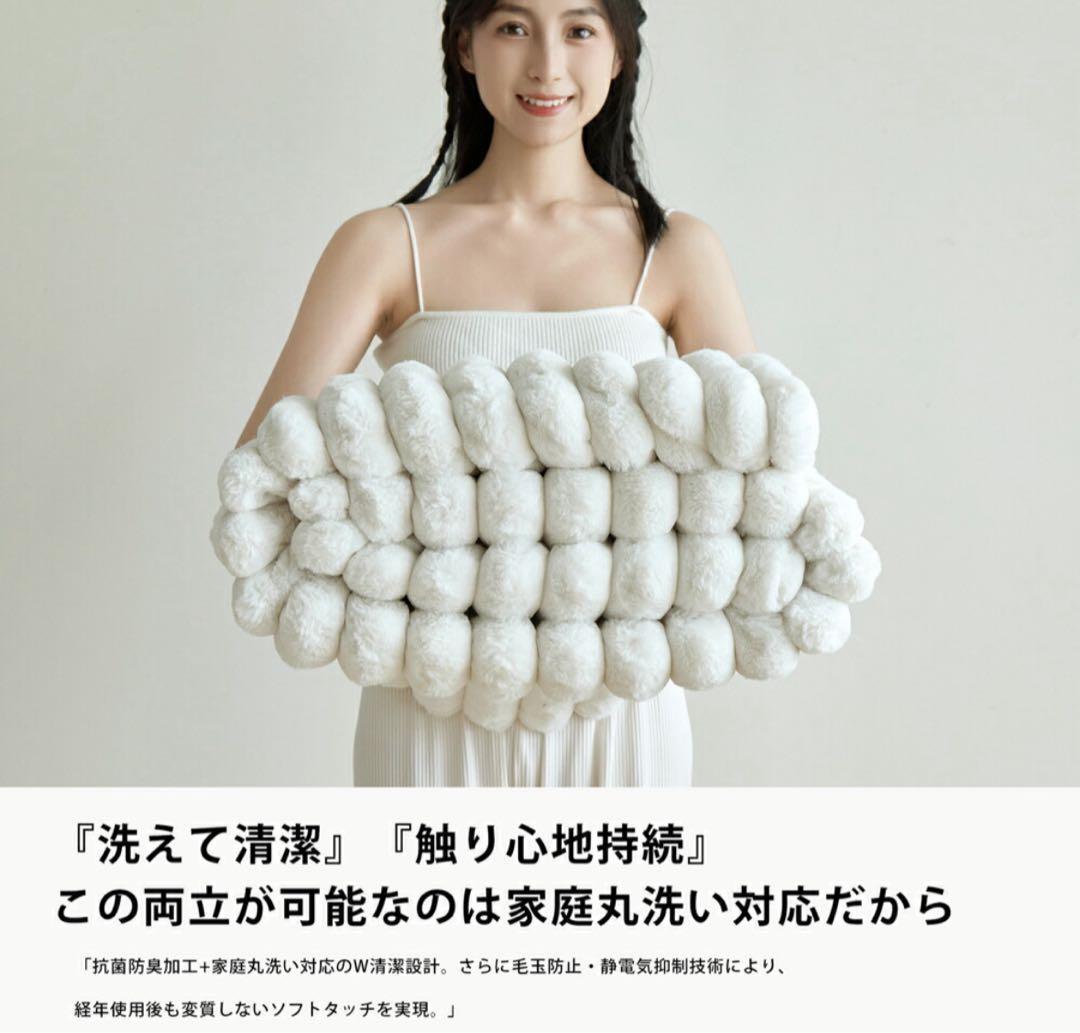 ふわとろ毛布 電気毛布 190×170 ダブル ひざ掛け 洗える ダニ退治