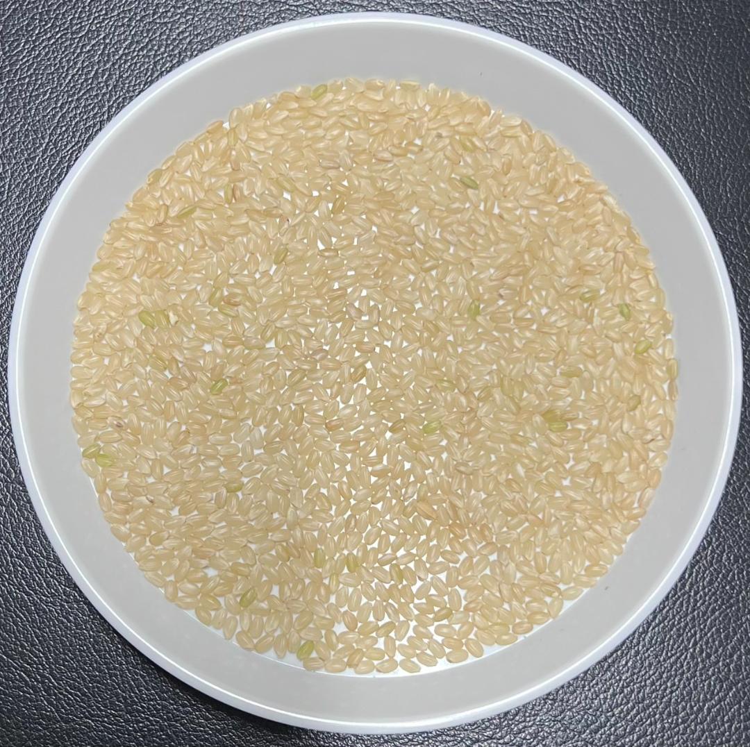 一等検査 特別栽培米 玄米 令和7年産 京都 丹後 コシヒカリ 30kg