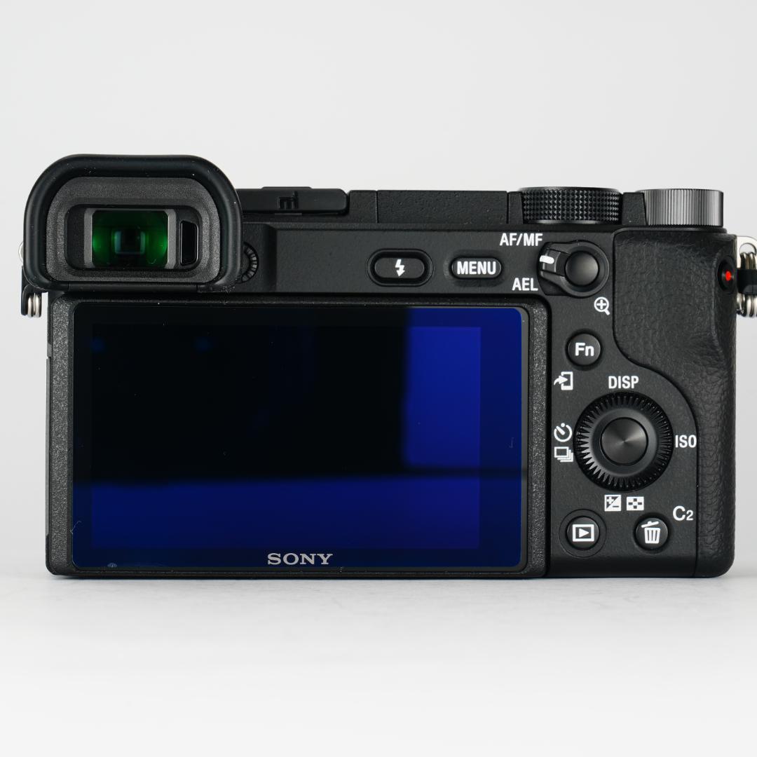 運動会撮影で愕然としたあなたへ α6400 ダブルズーム SONY ミラーレス
