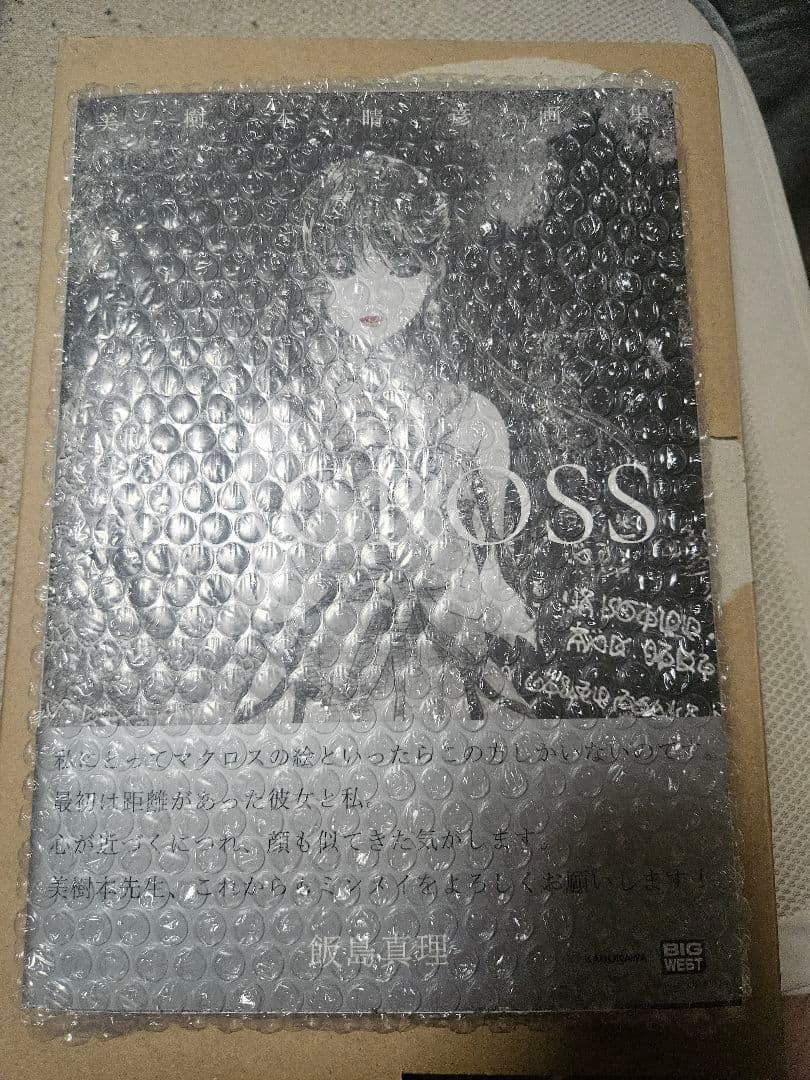 美樹本晴彦画集「MACROSS」