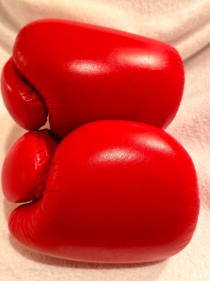 Winning ボクシンググローブ 8oz 赤　中古