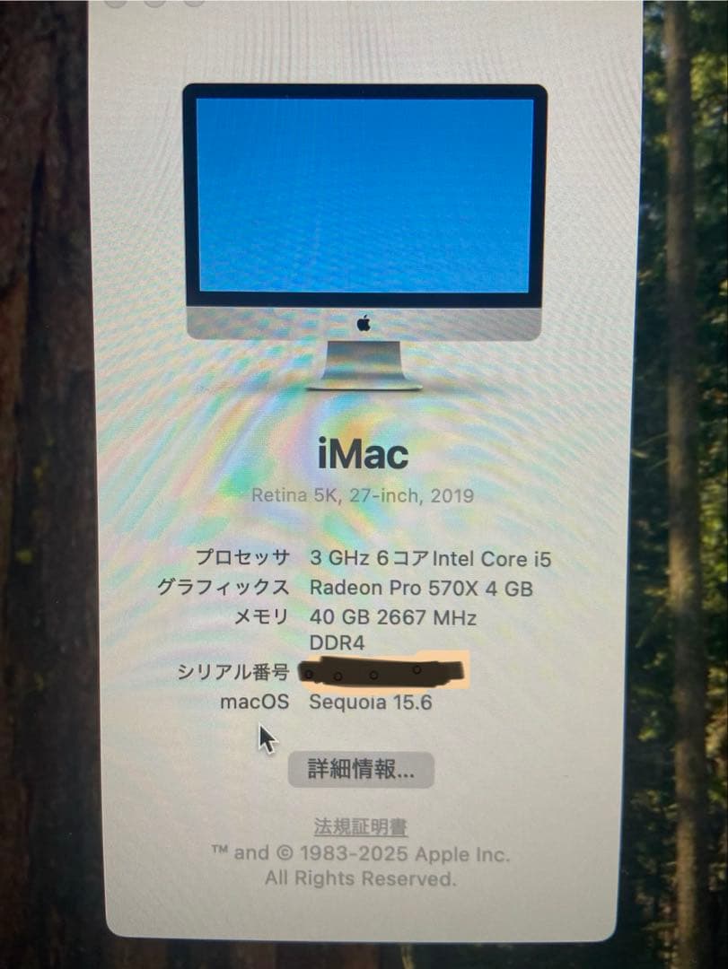 その他 VESA, 2019, 27inch, iMac 5K, 40GB