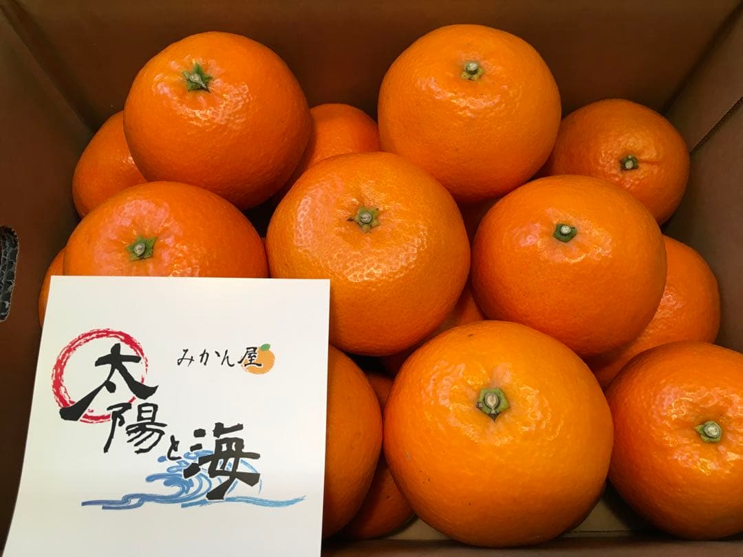 愛媛の伊予柑☆混合サイズ☆ご家庭用☆4.５kg×３ケース