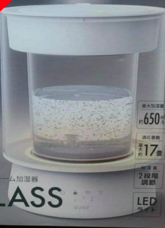 QUADS クワッズ ガラス スチーム加湿器 GLASS（グラス） アイボリー