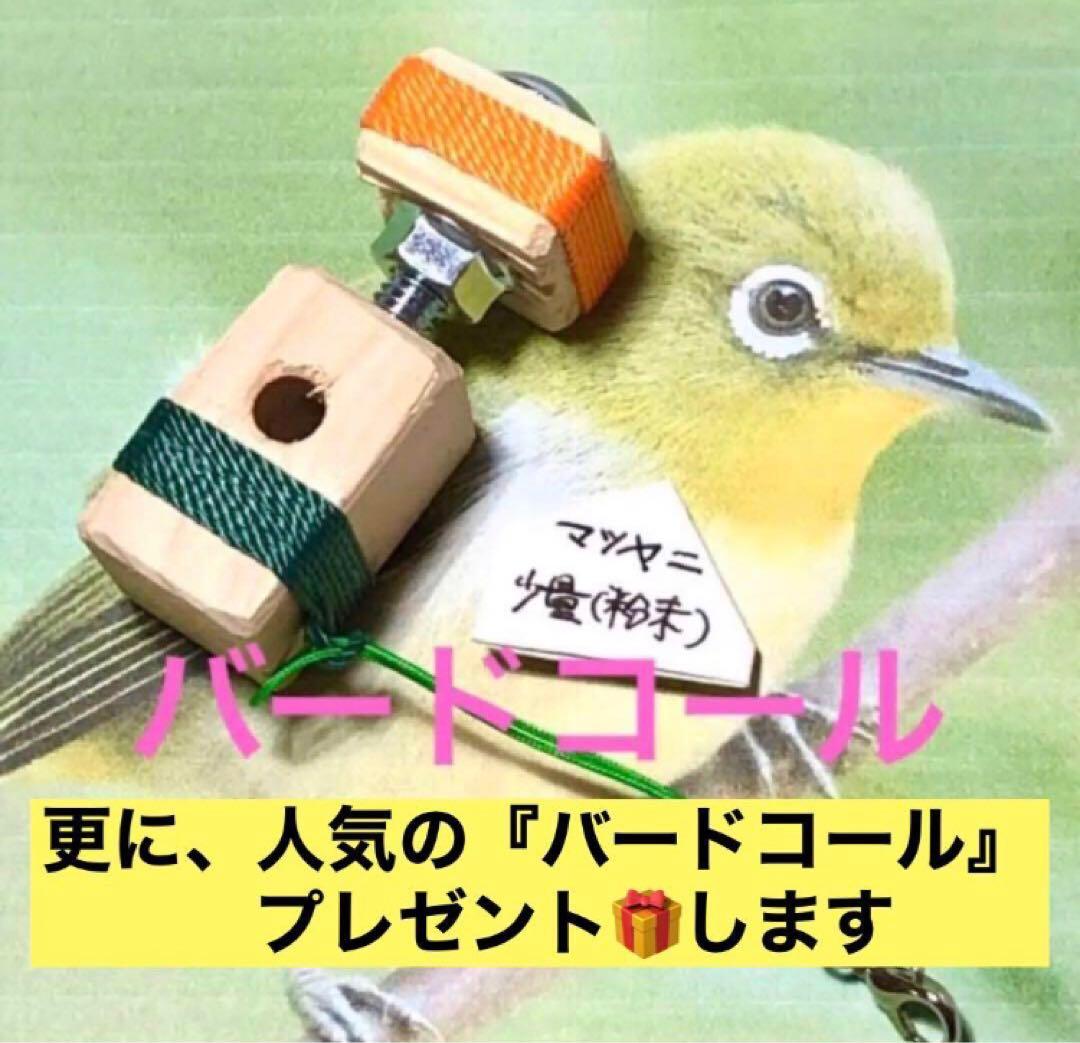 太鼓と太鼓台セット【キッズ和太鼓】 《太鼓寸法: 直径24cm 中型6インチ》