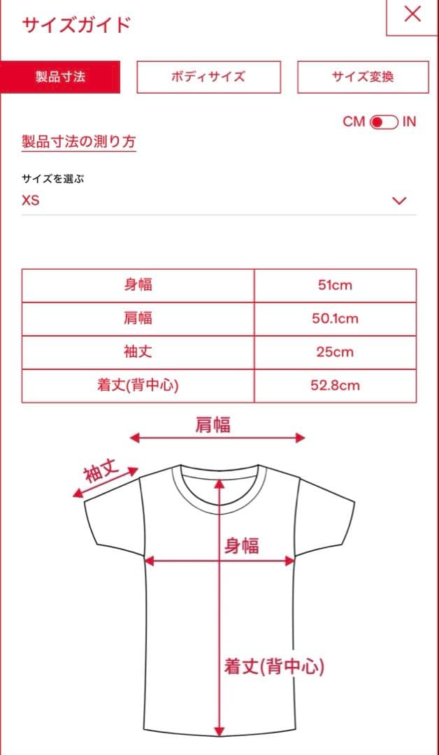 新品未開封タグ付 diesel ディーゼル T-Rowy-Od Tシャツ xs