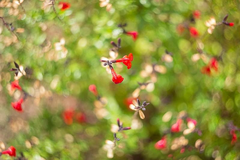 83 　新品未使用　ぐるぐるボケレンズ　ヘリオス　44M-4　M42アダプター付