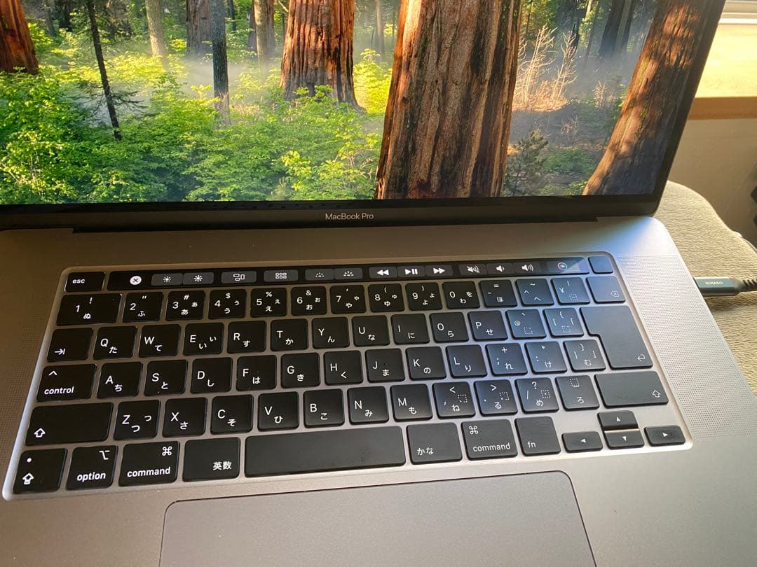 Macbook pro 2019 16インチ i9/1TB/16gb