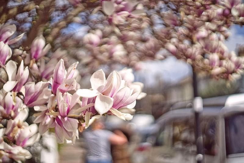 39　新品同様　希少ヘリオス　77M-4　ぐるぐるボケレンズ　　M42