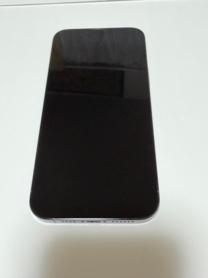 Apple iPhone 13 Pro Max シエラブルー 256GB 88%