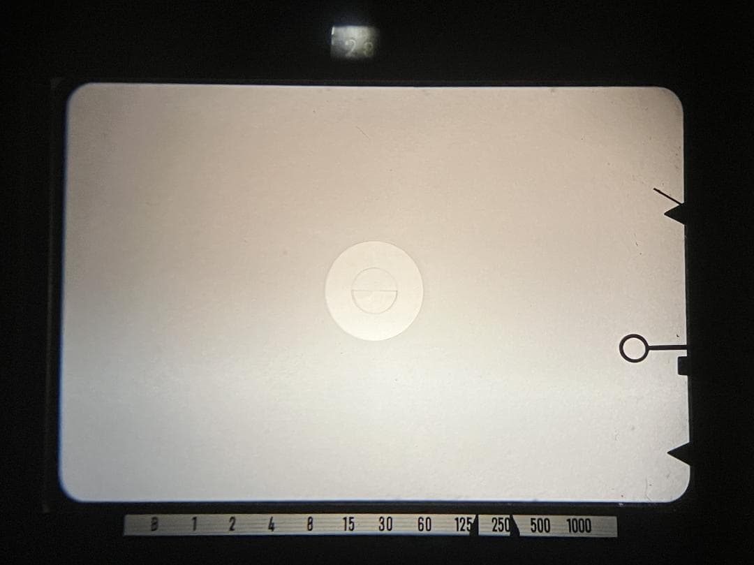 ミノルタ SR505 & MC ROKKOR-PF 50mm F1.7 #05