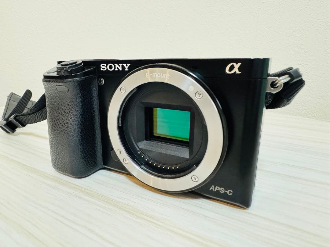 SONY α6000 ダブルズームレンズキット 動作確認済