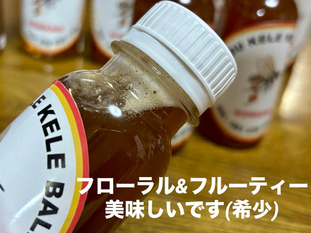 針なしミツバチの蜂蜜⭐️限定8本SALE、モリンガパウダー3袋⭐️歳末感謝、赤生姜