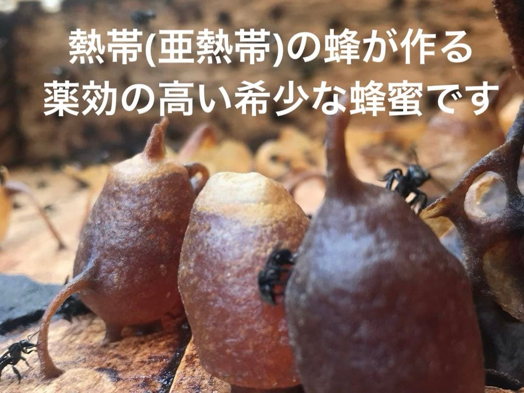 針なしミツバチの蜂蜜⭐️限定8本SALE、モリンガパウダー3袋⭐️歳末感謝、赤生姜