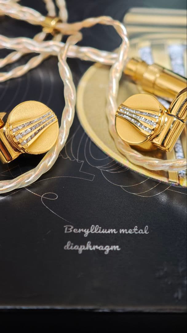 FiiO FDX 　　FIIO有線イヤホン