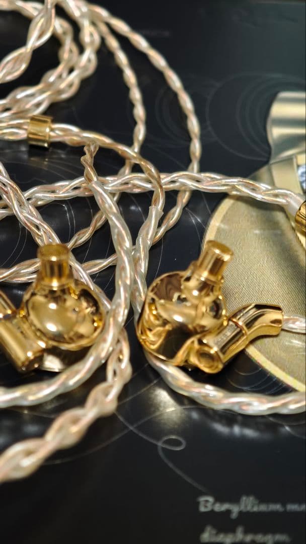 FiiO FDX 　　FIIO有線イヤホン