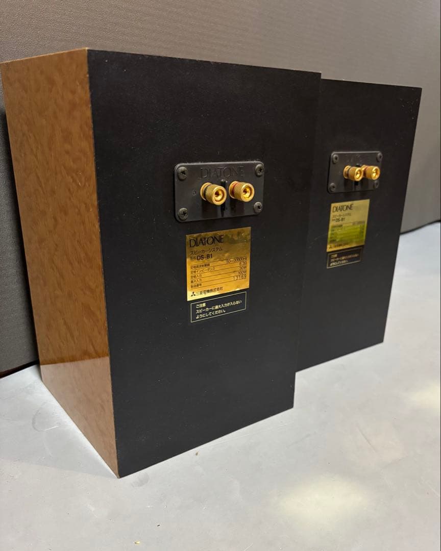た*き様 DIATONE DS-B1