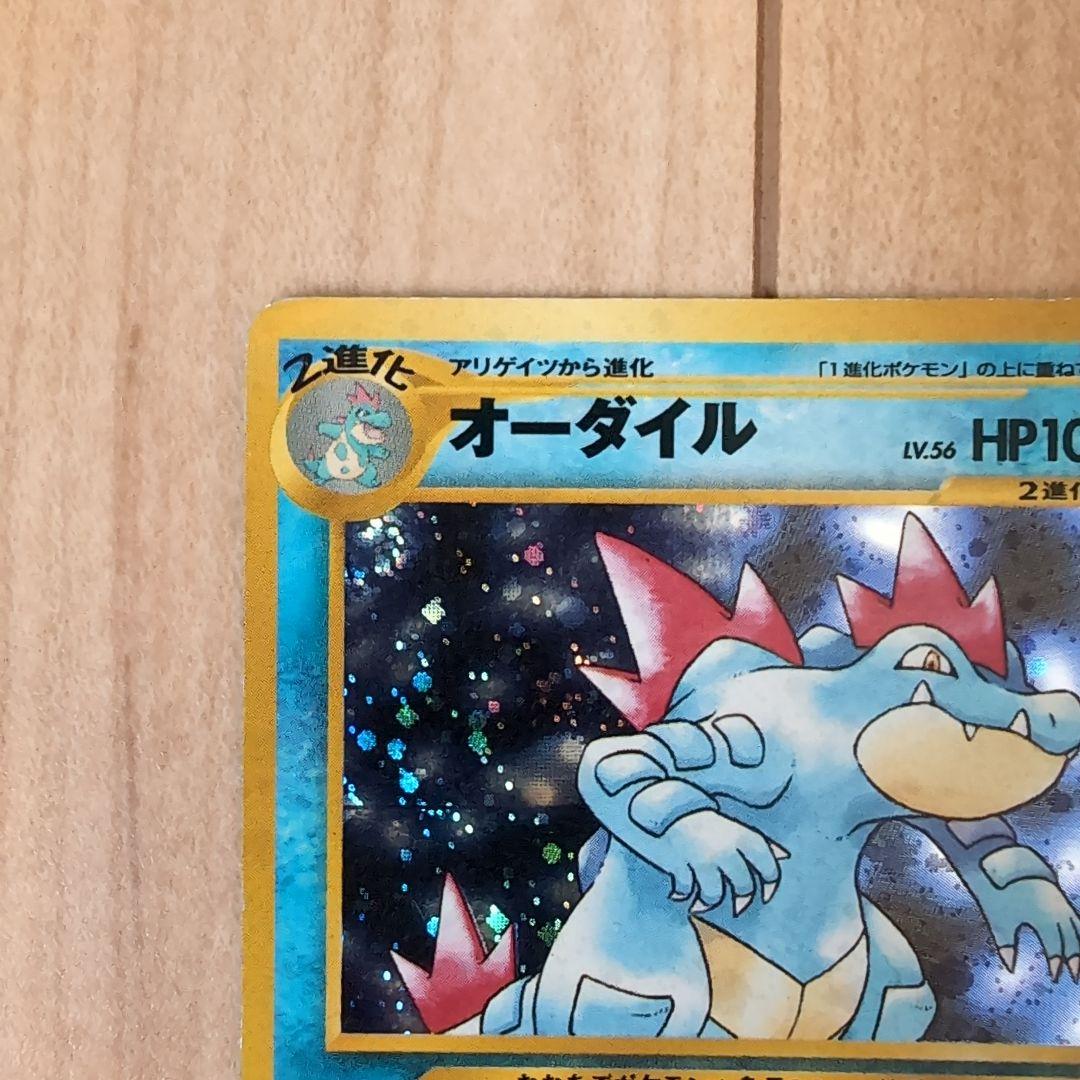 旧裏オーダイル 【リザードン】 フシギバナ セット