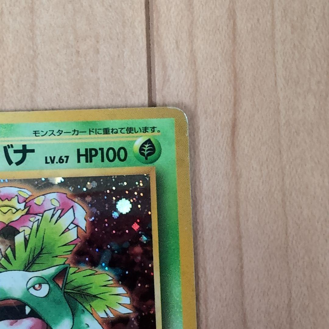 旧裏オーダイル 【リザードン】 フシギバナ セット