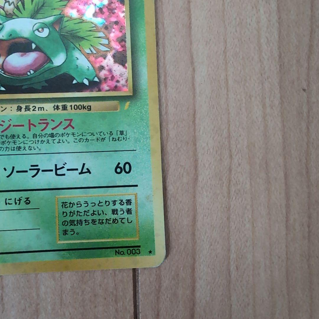 旧裏オーダイル 【リザードン】 フシギバナ セット