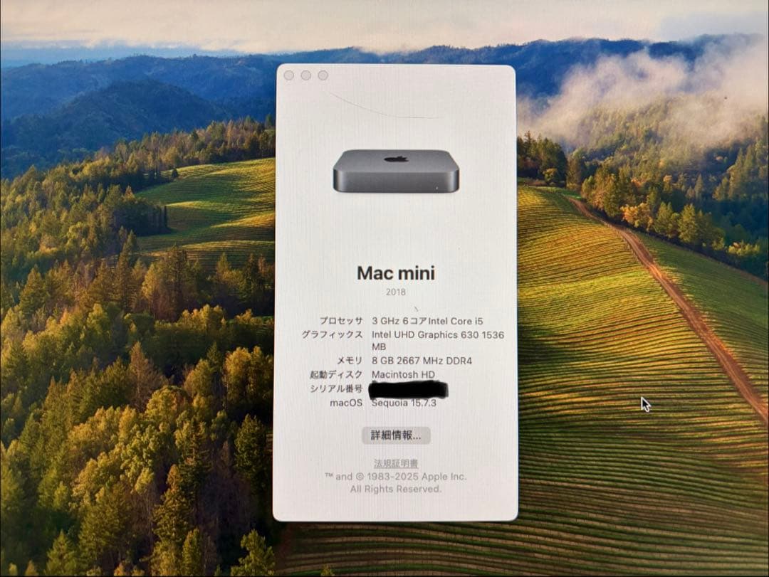 Macデスクトップ Mac mini A1993 corei5 3.0GHz 8GB 512GB