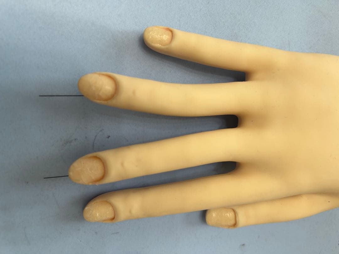 JNEC認定モデルハンド　練習用