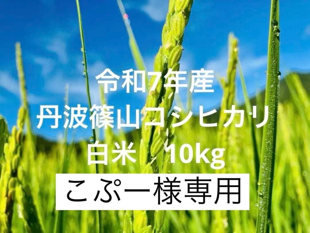 こぷー 令和7年産【丹波篠山コシヒカリ】白米10kg 極上米/食味値87点