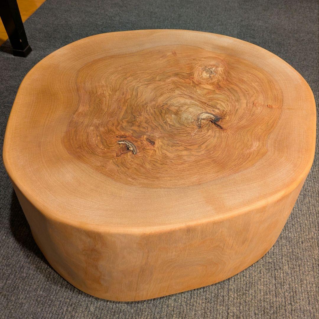 オールド　ウダイカンバ　切り株　輪切り　高さ約15㎝