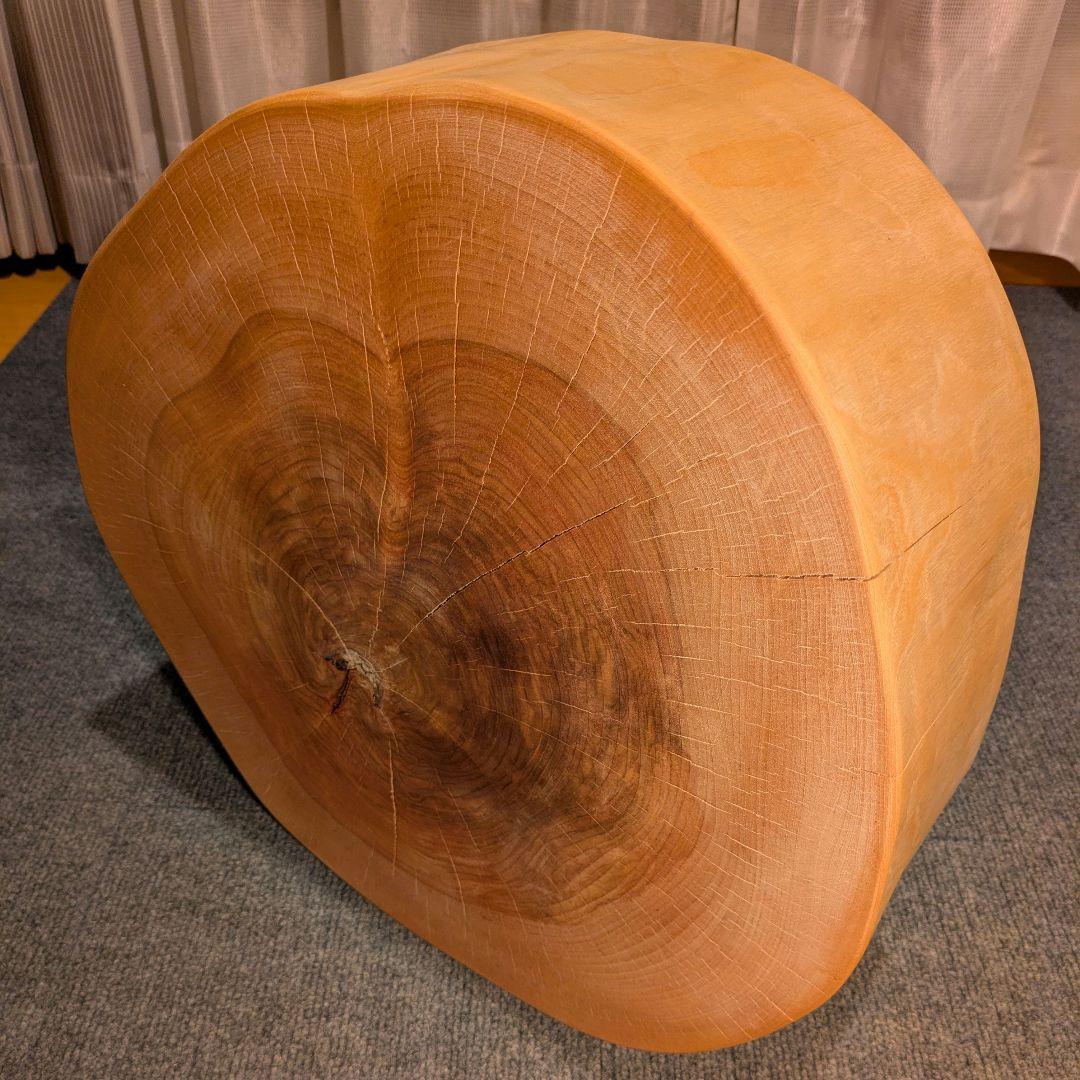 オールド　ウダイカンバ　切り株　輪切り　高さ約15㎝