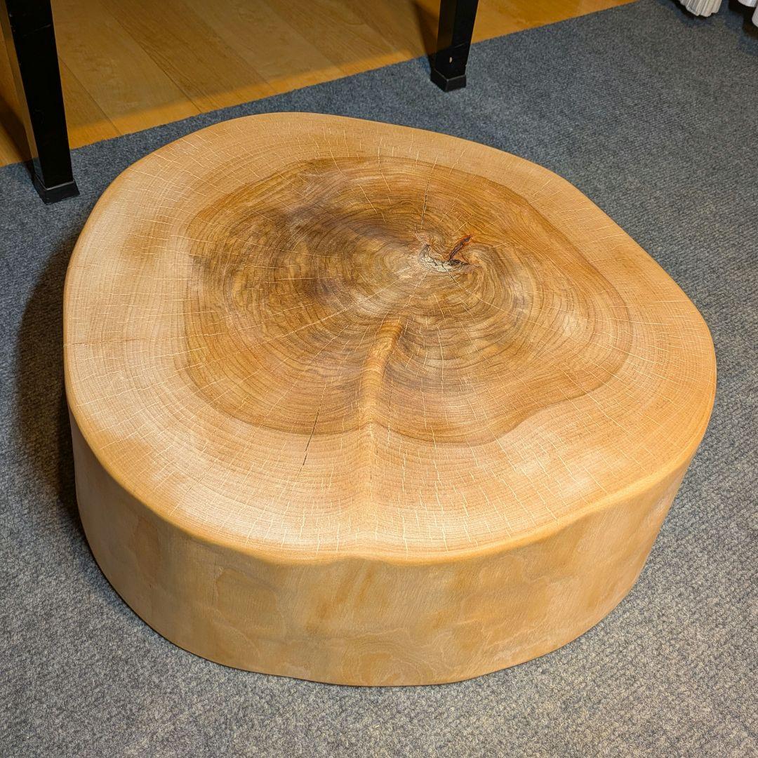 オールド　ウダイカンバ　切り株　輪切り　高さ約15㎝