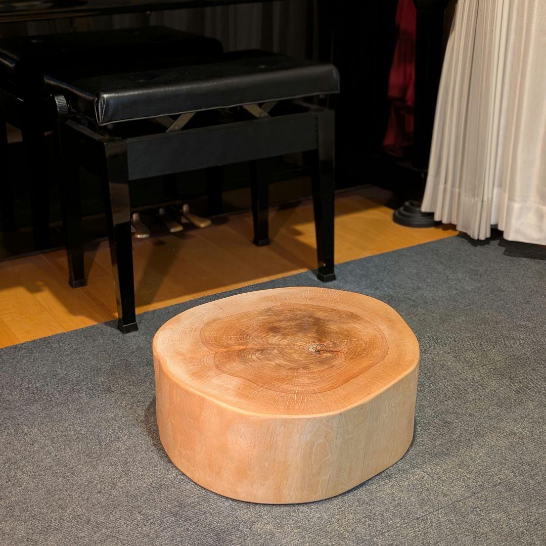 オールド　ウダイカンバ　切り株　輪切り　高さ約15㎝