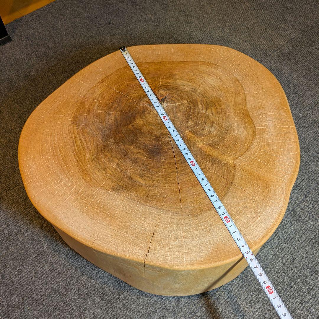 オールド　ウダイカンバ　切り株　輪切り　高さ約15㎝