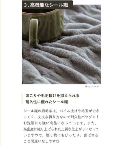 ◎新品 ロマンス小杉 ヒートコットンケット ふかふか ベージュ系２枚✨️日本製