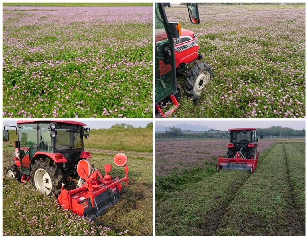 新米　兵庫播州れんげ米　きぬむすめ　７年産　精米　極1等米10Kg　農直送料無料