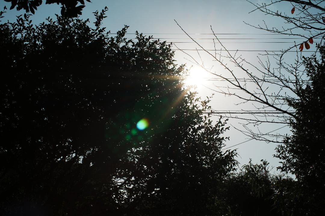 【整備＆テスト済】Nikon Ai Nikkor 50mm F1.2. 971